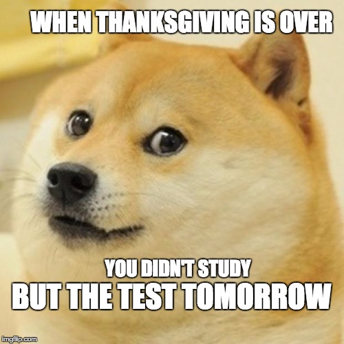 Doge Meme | WHEN THANKSGIVING IS OVER YOU DIDN'T STUDY BUT THE TEST TOMORROW | image tagged in memes,doge | made w/ Imgflip meme maker