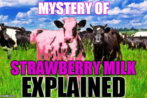 No bull... | MYSTERY OF EXPLAINED STRAWBERRY MILK | image tagged in memes,strawberry milk,cows,mystery | made w/ Imgflip meme maker