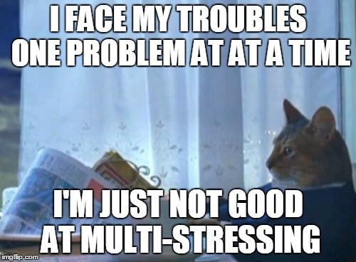 I Should Buy A Boat Cat | I FACE MY TROUBLES ONE PROBLEM AT AT A TIME I'M JUST NOT GOOD AT MULTI-STRESSING | image tagged in memes,i should buy a boat cat | made w/ Imgflip meme maker