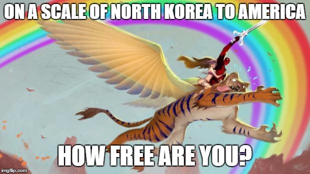 How Free are You? | ON A SCALE OF NORTH KOREA TO AMERICA HOW FREE ARE YOU? | image tagged in deadpool on a flying tiger | made w/ Imgflip meme maker