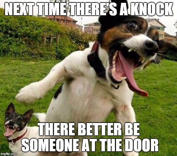 My dog when i play the knock knock joke | NEXT TIME THERE'S A KNOCK THERE BETTER BE SOMEONE AT THE DOOR | image tagged in angry dogs | made w/ Imgflip meme maker