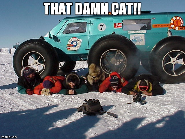 THAT DAMN CAT!! | made w/ Imgflip meme maker