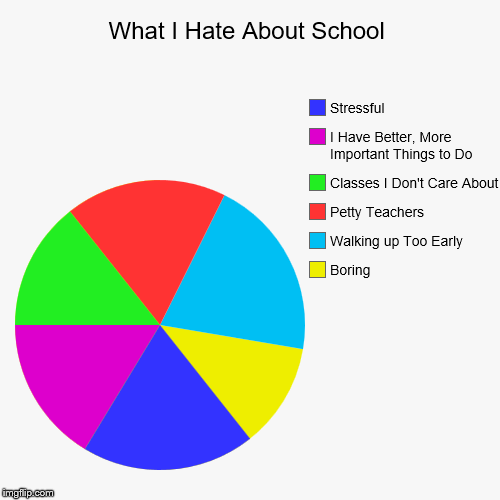 image tagged in funny,pie charts | made w/ Imgflip chart maker