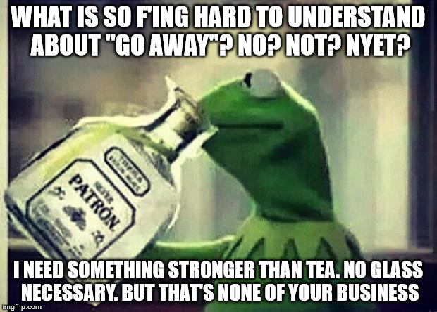 Drunk Kermit | WHAT IS SO F'ING HARD TO UNDERSTAND ABOUT "GO AWAY"? NO? NOT? NYET? I NEED SOMETHING STRONGER THAN TEA. NO GLASS NECESSARY. BUT THAT'S NONE  | image tagged in drunk kermit | made w/ Imgflip meme maker