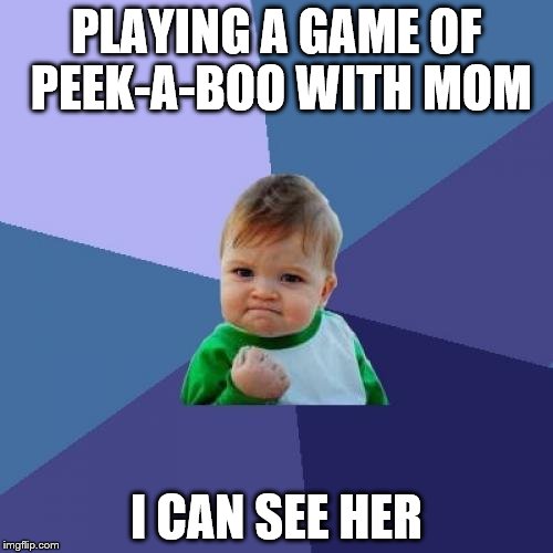 Success Kid | PLAYING A GAME OF PEEK-A-BOO WITH MOM I CAN SEE HER | image tagged in memes,success kid | made w/ Imgflip meme maker