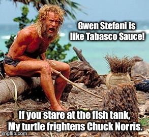 Forest Gump | Gwen Stefani is like Tabasco Sauce! If you stare at the fish tank, My turtle frightens Chuck Norris. | image tagged in gwen stefani,chuck norris,tabasco sauce,turtle,iamjacksrabbit,look at me | made w/ Imgflip meme maker