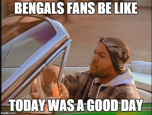 Ice Cube | BENGALS FANS BE LIKE TODAY WAS A GOOD DAY | image tagged in ice cube | made w/ Imgflip meme maker