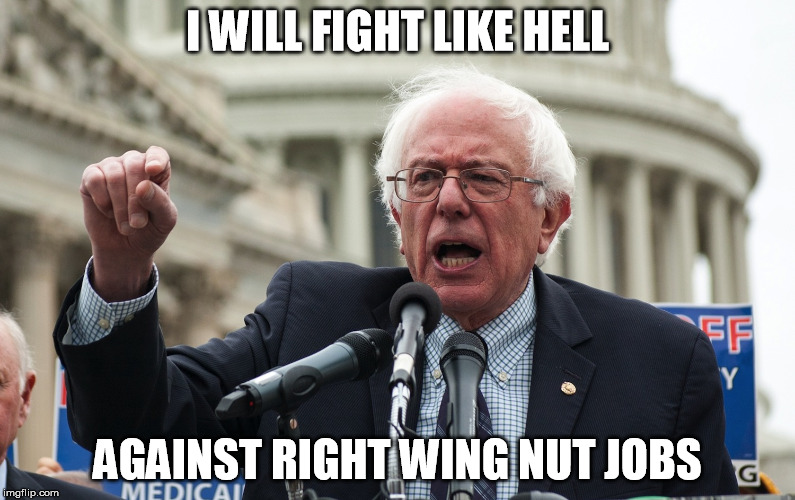 Bernie Sanders | I WILL FIGHT LIKE HELL AGAINST RIGHT WING NUT JOBS | image tagged in bernie sanders | made w/ Imgflip meme maker