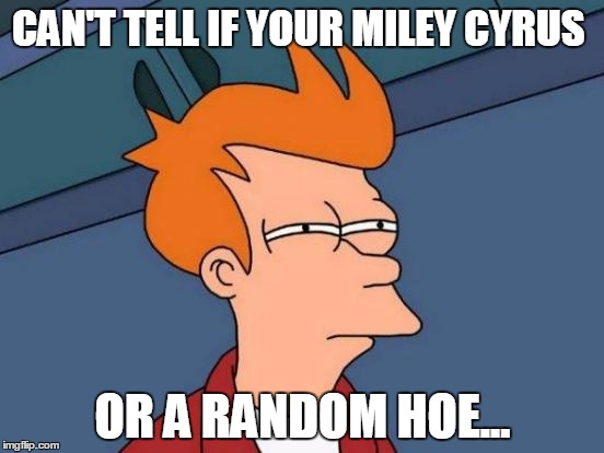 Futurama Fry | CAN'T TELL IF YOUR MILEY CYRUS OR A RANDOM HOE... | image tagged in memes,futurama fry | made w/ Imgflip meme maker