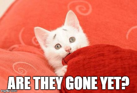 Concerned Cat | ARE THEY GONE YET? | image tagged in concerned cat | made w/ Imgflip meme maker