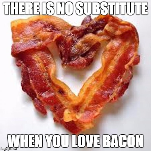 bacon | THERE IS NO SUBSTITUTE WHEN YOU LOVE BACON | image tagged in bacon | made w/ Imgflip meme maker