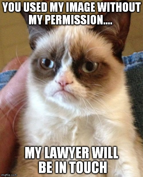 Grumpy Cat Meme | YOU USED MY IMAGE WITHOUT MY PERMISSION.... MY LAWYER WILL BE IN TOUCH | image tagged in memes,grumpy cat | made w/ Imgflip meme maker