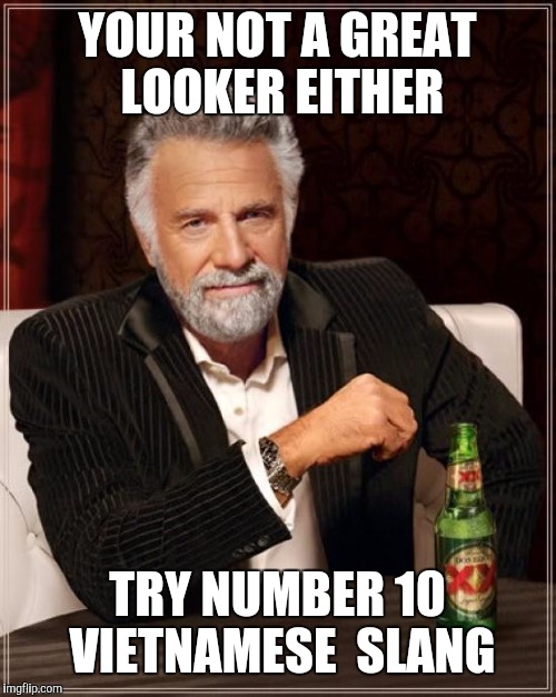 The Most Interesting Man In The World Meme | YOUR NOT A GREAT LOOKER EITHER TRY NUMBER 10 VIETNAMESE  SLANG | image tagged in memes,the most interesting man in the world | made w/ Imgflip meme maker