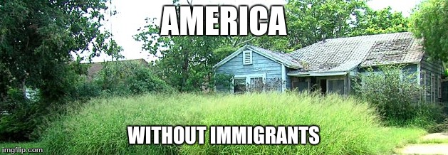 Overgrown grass | AMERICA WITHOUT IMMIGRANTS | image tagged in overgrown grass | made w/ Imgflip meme maker