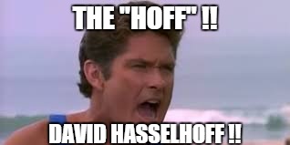david hasselhoff | THE "HOFF" !! DAVID HASSELHOFF !! | image tagged in david hasselhoff | made w/ Imgflip meme maker