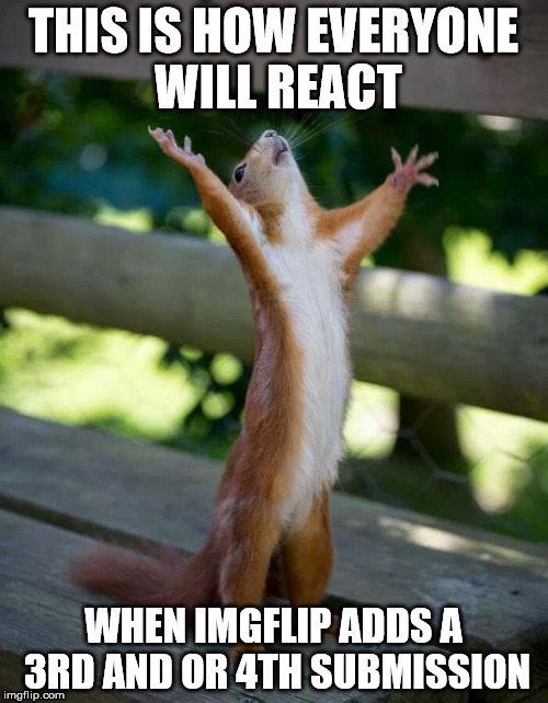 Happy Squirrel | THIS IS HOW EVERYONE WILL REACT WHEN IMGFLIP ADDS A 3RD AND OR 4TH SUBMISSION | image tagged in happy squirrel | made w/ Imgflip meme maker