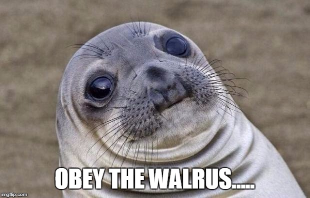 Awkward Moment Sealion | OBEY THE WALRUS..... | image tagged in memes,awkward moment sealion | made w/ Imgflip meme maker