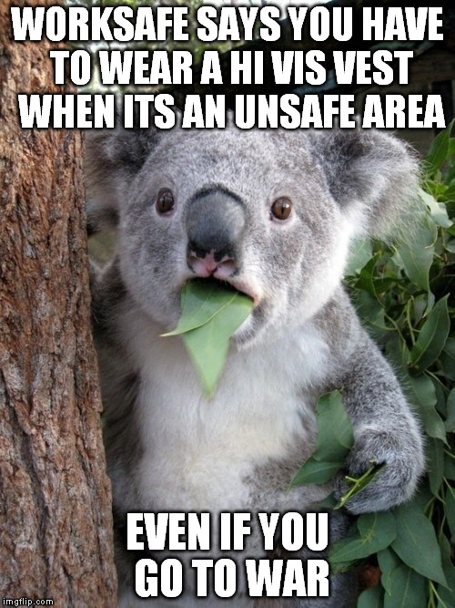 Surprised Koala | WORKSAFE SAYS YOU HAVE TO WEAR A HI VIS VEST WHEN ITS AN UNSAFE AREA EVEN IF YOU GO TO WAR | image tagged in memes,surprised coala | made w/ Imgflip meme maker