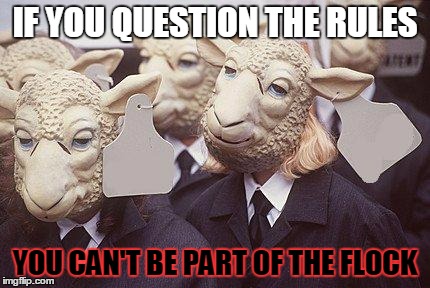 just sheep things. | IF YOU QUESTION THE RULES YOU CAN'T BE PART OF THE FLOCK | image tagged in opinion | made w/ Imgflip meme maker