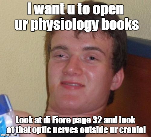 Drunk doctor | I want u to open ur physiology books Look at di Fiore page 32 and look at that optic nerves outside ur cranial | image tagged in memes,10 guy | made w/ Imgflip meme maker