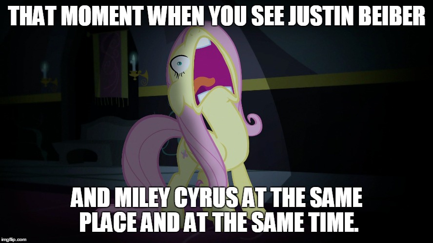 Screaming Fluttershy | THAT MOMENT WHEN YOU SEE JUSTIN BEIBER AND MILEY CYRUS AT THE SAME PLACE AND AT THE SAME TIME. | image tagged in my little pony | made w/ Imgflip meme maker