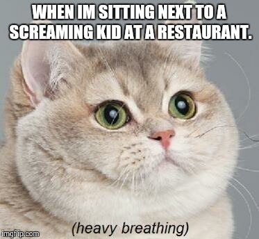 Heavy Breathing Cat Meme | WHEN IM SITTING NEXT TO A SCREAMING KID AT A RESTAURANT. | image tagged in memes,heavy breathing cat | made w/ Imgflip meme maker