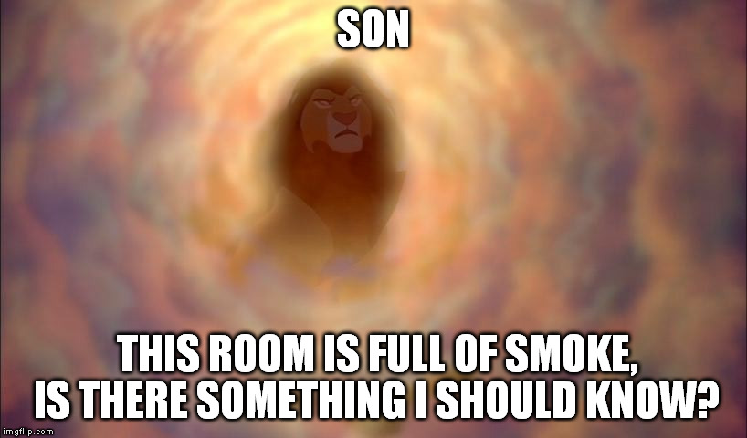 Is time for another father-son chat? | SON THIS ROOM IS FULL OF SMOKE, IS THERE SOMETHING I SHOULD KNOW? | image tagged in mufasa,memes,lion king | made w/ Imgflip meme maker