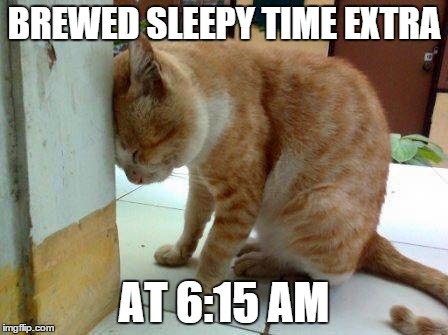 Monday Morning Cat | BREWED SLEEPY TIME EXTRA AT 6:15 AM | image tagged in cat,morning cat,monday,monday mornings | made w/ Imgflip meme maker