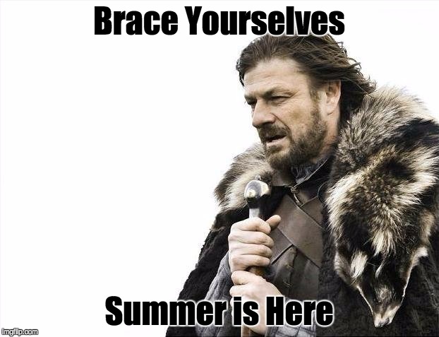 Brace Yourselves X is Coming | Brace Yourselves Summer is Here | image tagged in memes,brace yourselves x is coming | made w/ Imgflip meme maker