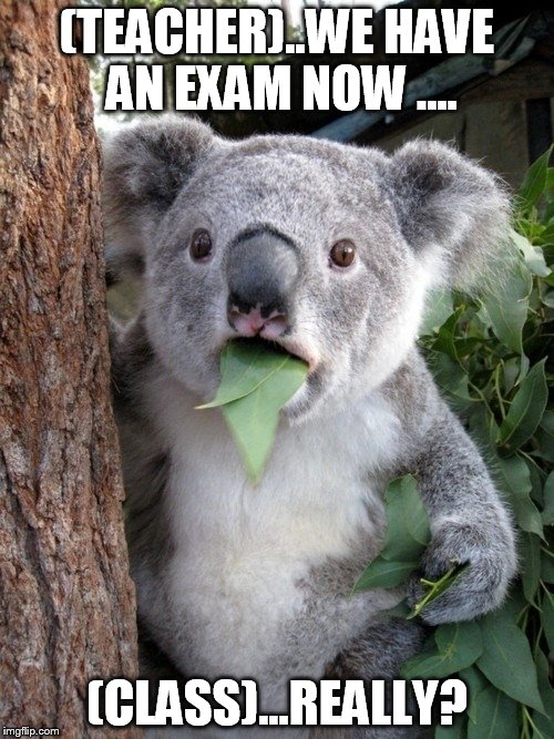 Surprised Koala | (TEACHER)..WE HAVE AN EXAM NOW .... (CLASS)...REALLY? | image tagged in memes,surprised coala | made w/ Imgflip meme maker