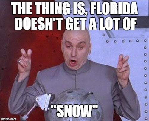 Dr Evil Laser Meme | THE THING IS, FLORIDA DOESN'T GET A LOT OF "SNOW" | image tagged in memes,dr evil laser | made w/ Imgflip meme maker