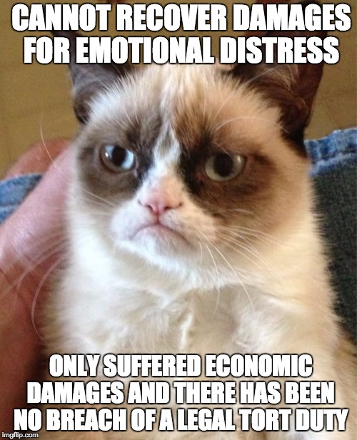 Grumpy Cat Meme | CANNOT RECOVER DAMAGES FOR EMOTIONAL DISTRESS ONLY SUFFERED ECONOMIC DAMAGES AND THERE HAS BEEN NO BREACH OF A LEGAL TORT DUTY | image tagged in memes,grumpy cat | made w/ Imgflip meme maker