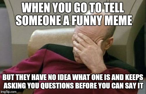 Captain Picard Facepalm | WHEN YOU GO TO TELL SOMEONE A FUNNY MEME BUT THEY HAVE NO IDEA WHAT ONE IS AND KEEPS ASKING YOU QUESTIONS BEFORE YOU CAN SAY IT | image tagged in memes,captain picard facepalm | made w/ Imgflip meme maker