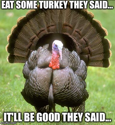 Turkey | EAT SOME TURKEY THEY SAID... IT'LL BE GOOD THEY SAID... | image tagged in memes,turkey | made w/ Imgflip meme maker
