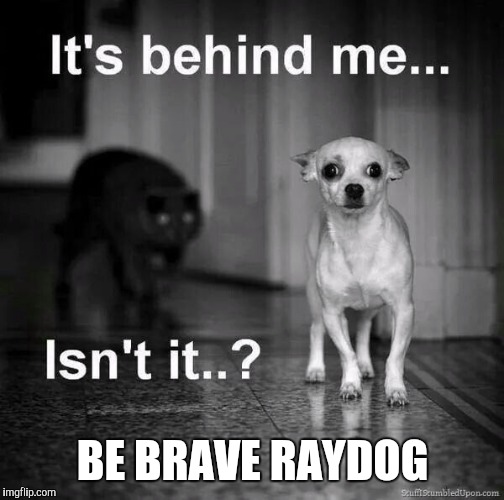 BE BRAVE RAYDOG | made w/ Imgflip meme maker