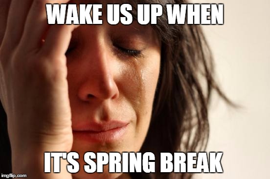 First World Problems | WAKE US UP WHEN IT'S SPRING BREAK | image tagged in memes,first world problems | made w/ Imgflip meme maker