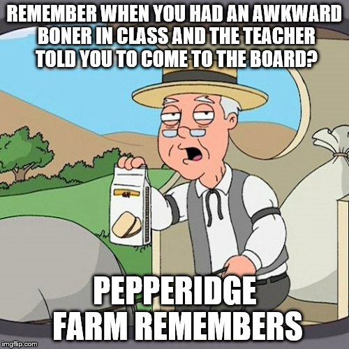 We all remember :D | REMEMBER WHEN YOU HAD AN AWKWARD BONER IN CLASS AND THE TEACHER TOLD YOU TO COME TO THE BOARD? PEPPERIDGE FARM REMEMBERS | image tagged in memes,pepperidge farm remembers,boner,school,teachers | made w/ Imgflip meme maker