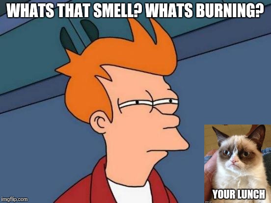 Oops... | WHATS THAT SMELL? WHATS BURNING? YOUR LUNCH | image tagged in memes,futurama fry | made w/ Imgflip meme maker
