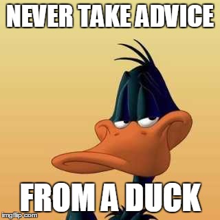 NEVER TAKE ADVICE FROM A DUCK | made w/ Imgflip meme maker