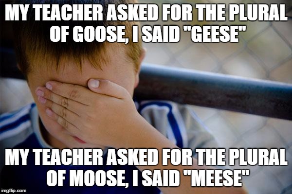 Confession Kid Meme | MY TEACHER ASKED FOR THE PLURAL OF GOOSE, I SAID "GEESE" MY TEACHER ASKED FOR THE PLURAL OF MOOSE, I SAID "MEESE" | image tagged in memes,confession kid | made w/ Imgflip meme maker