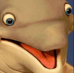 crazy dolphin Blank Meme Template