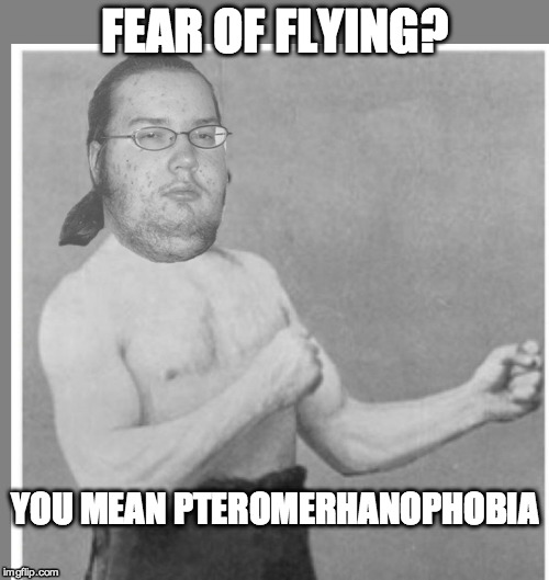 Overly nerdy nerd | FEAR OF FLYING? YOU MEAN PTEROMERHANOPHOBIA | image tagged in overly nerdy nerd | made w/ Imgflip meme maker