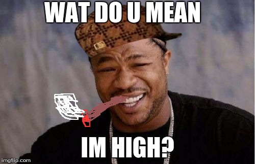 Yo Dawg Heard You | WAT DO U MEAN IM HIGH? | image tagged in memes,yo dawg heard you,scumbag | made w/ Imgflip meme maker