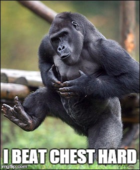 I BEAT CHEST HARD | image tagged in gorilla yup | made w/ Imgflip meme maker