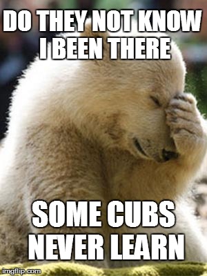 Some Cubs | DO THEY NOT KNOW I BEEN THERE SOME CUBS NEVER LEARN | image tagged in memes,facepalm bear,kids,life,wize | made w/ Imgflip meme maker