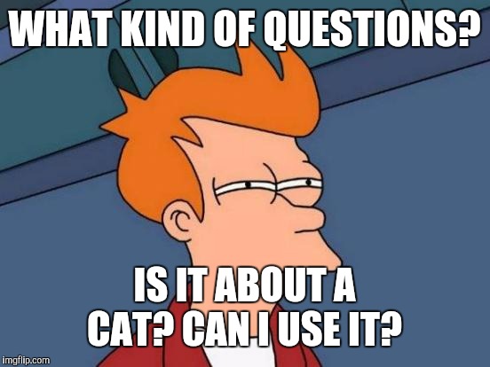 Futurama Fry Meme | WHAT KIND OF QUESTIONS? IS IT ABOUT A CAT? CAN I USE IT? | image tagged in memes,futurama fry | made w/ Imgflip meme maker