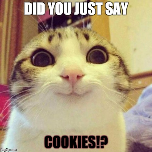 Smiling Cat | DID YOU JUST SAY COOKIES!? | image tagged in memes,smiling cat | made w/ Imgflip meme maker
