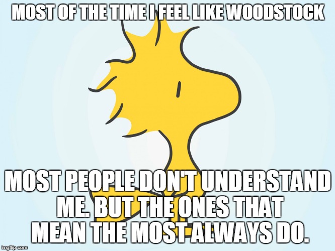 woodstock | MOST OF THE TIME I FEEL LIKE WOODSTOCK MOST PEOPLE DON'T UNDERSTAND ME. BUT THE ONES THAT MEAN THE MOST ALWAYS DO. | image tagged in woodstock | made w/ Imgflip meme maker