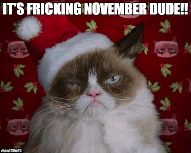 Grumpy Cat Christmas | IT'S FRICKING NOVEMBER DUDE!! | image tagged in grumpy cat christmas | made w/ Imgflip meme maker