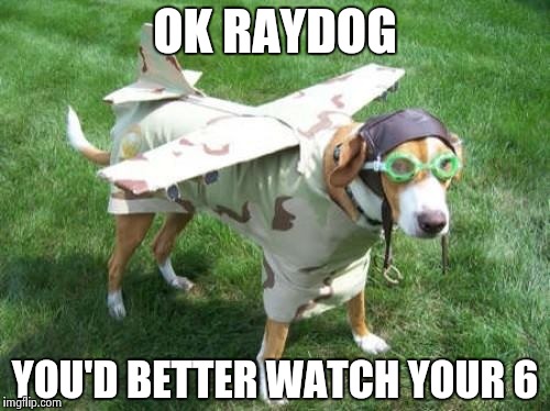 Up, up and away | OK RAYDOG YOU'D BETTER WATCH YOUR 6 | image tagged in meme,raydog,awesome dog | made w/ Imgflip meme maker